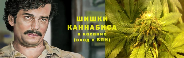 дмт Абаза