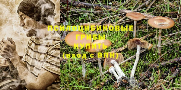 гидропоника Абинск