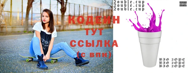 ECSTASY Няндома