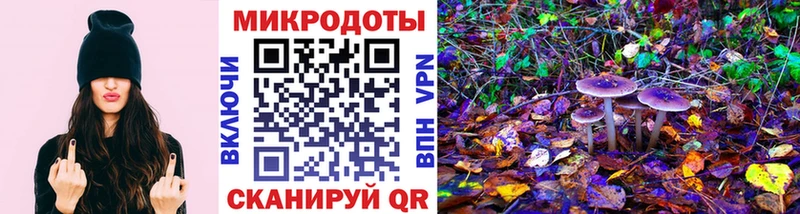 Галлюциногенные грибы Cubensis  как найти закладки  Серафимович 